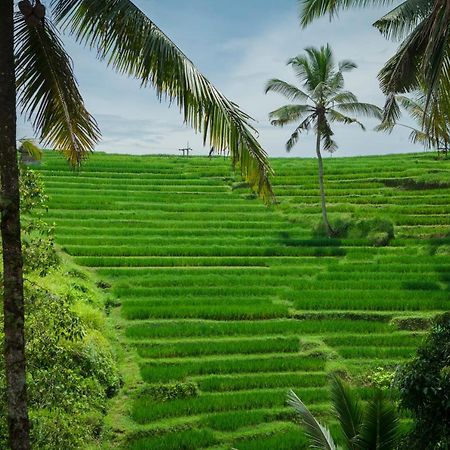 Be Bali Stay Ubud Zewnętrze zdjęcie