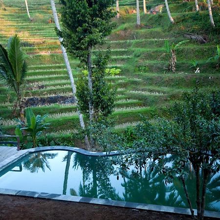 Be Bali Stay Ubud Zewnętrze zdjęcie