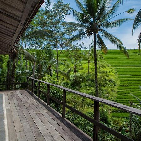 Be Bali Stay Ubud Zewnętrze zdjęcie