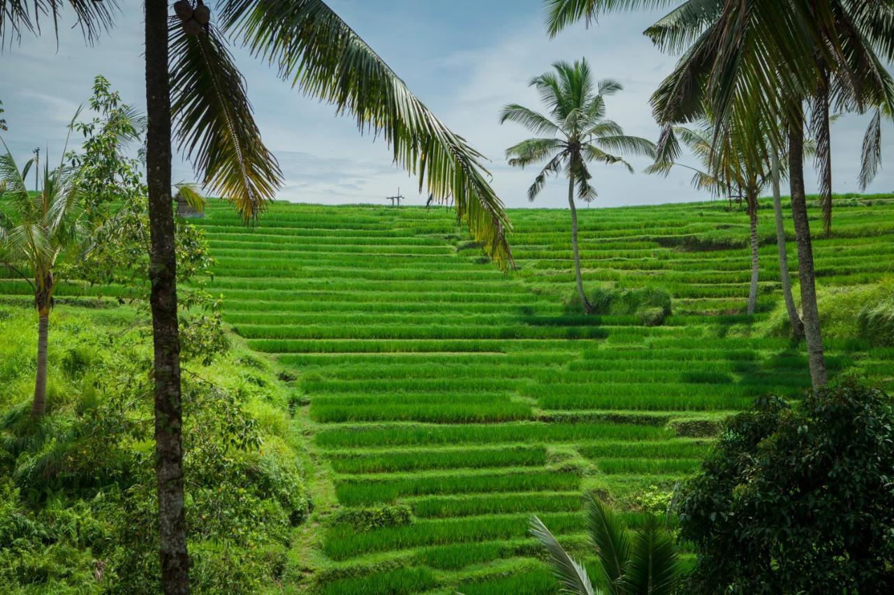 Be Bali Stay Ubud Zewnętrze zdjęcie