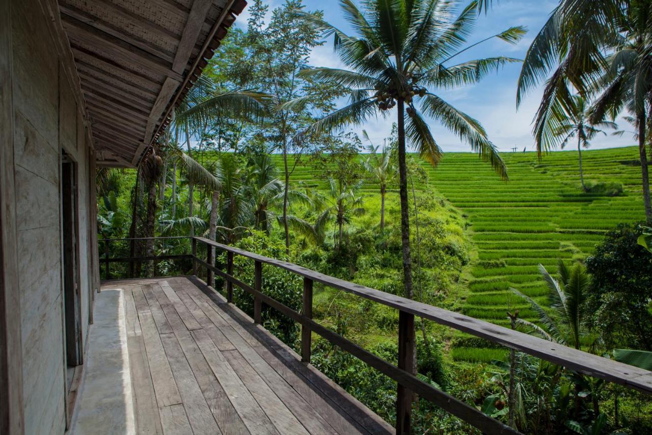 Be Bali Stay Ubud Zewnętrze zdjęcie